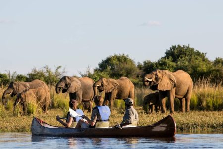 Canoe Safaris on the Upper Zambezi Tour