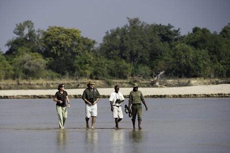 Walking Safari – South Luangwa National Park