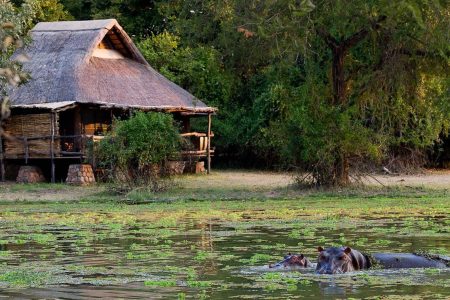 2 Nights – South Luangwa National Park Special